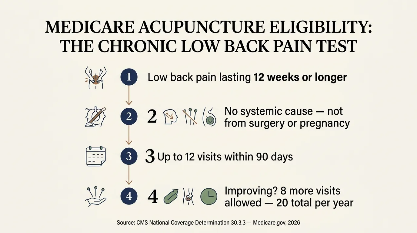Infographic titled Medicare Acupuncture Eligibility: The Chronic Low Back Pain Test, showing four steps: low back pain lasting 12 weeks or longer, no systemic cause and not from surgery or pregnancy, up to 12 visits within 90 days, and 8 more visits if improving for 20 total per year, sourced to CMS National Coverage Determination 30.3.3 and Medicare.gov, 2026