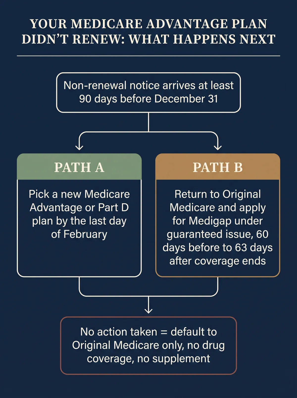 Infographic titled Your Medicare Advantage Plan Didn't Renew: What Happens Next, a decision flow chart showing a non-renewal notice arriving at least 90 days before December 31, branching into two paths: Path A, pick a new Medicare Advantage or Part D plan by the last day of February, and Path B, return to Original Medicare and apply for a Medigap policy under guaranteed issue between 60 days before and 63 days after coverage ends, with a warning branch showing that taking no action defaults to Original Medicare with no drug coverage and no supplement